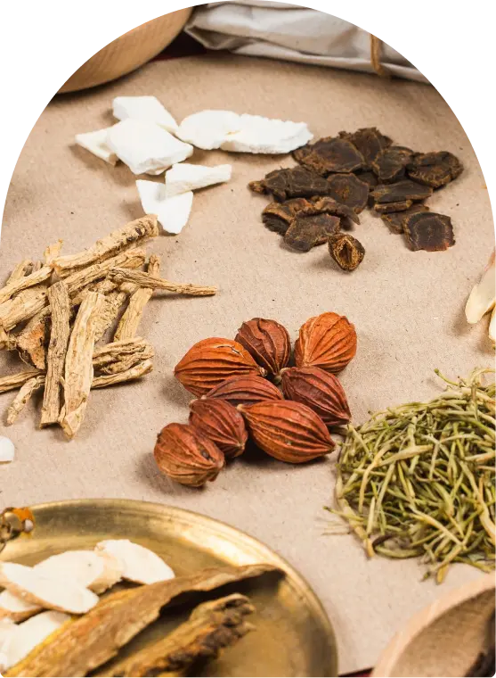 Herbal Medicine Herbal Medicine